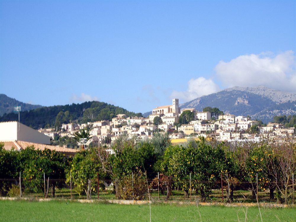 Finca Son Olive Selva  Dış mekan fotoğraf