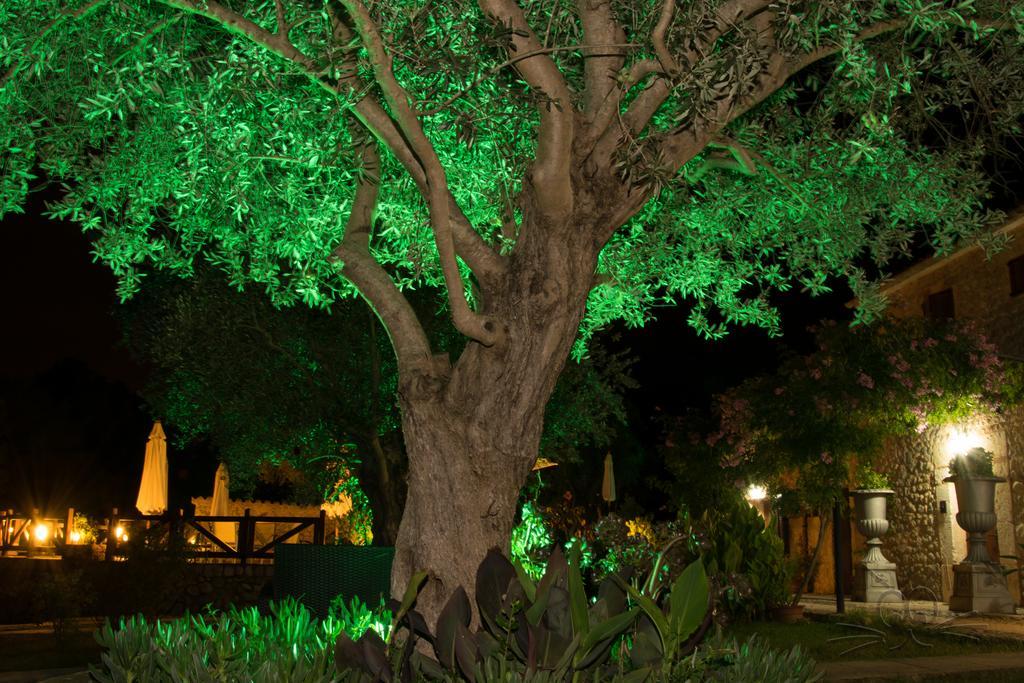 Finca Son Olive Selva  Dış mekan fotoğraf