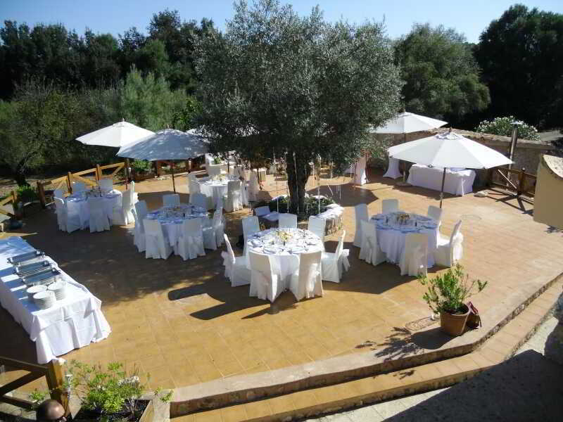 Finca Son Olive Selva  Dış mekan fotoğraf